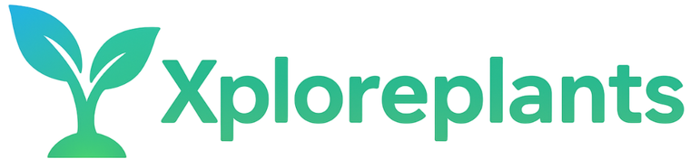 Logo of Xploreplants with green text and leaf icon on a white background